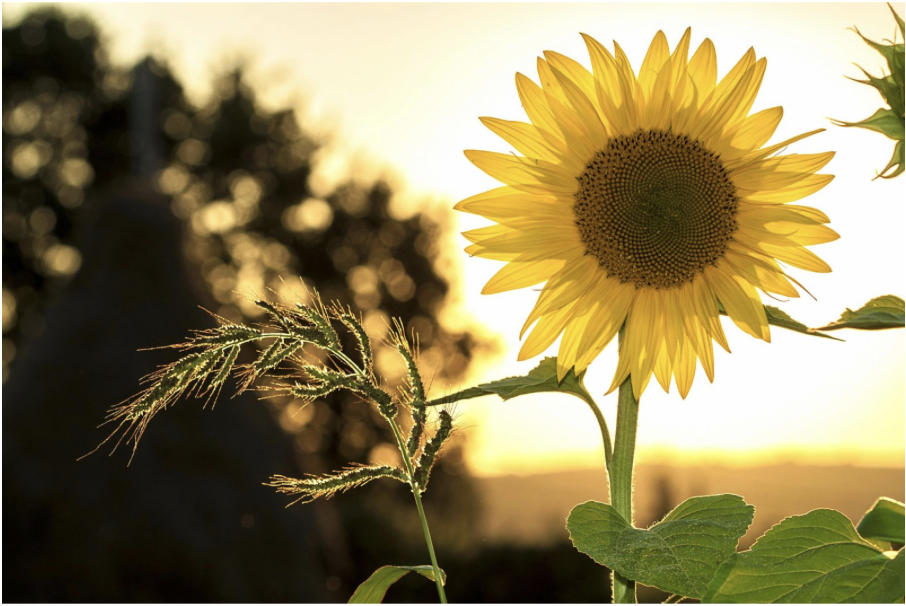 5 conseils pour se reposer vraiment !